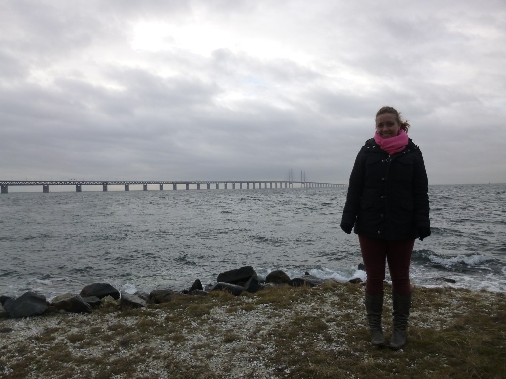 The Øresund Bridge in the distance