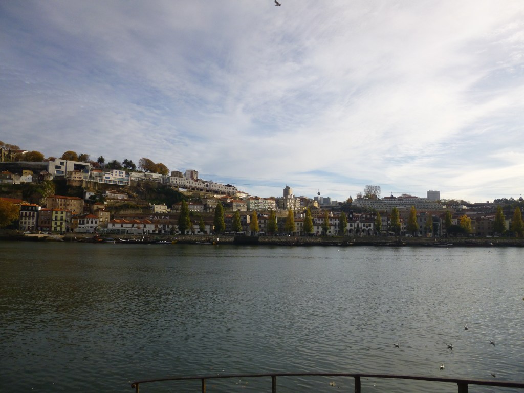View of the port wineries from the north side of the Duoro River